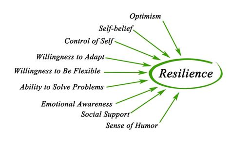 Being Resilient Meaning