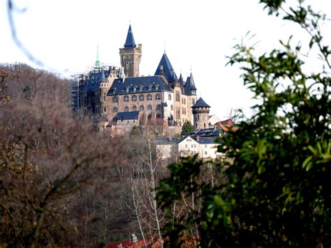 bekanntschaften in wernigerode