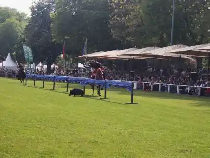 bekanntschaften-programm in rastede