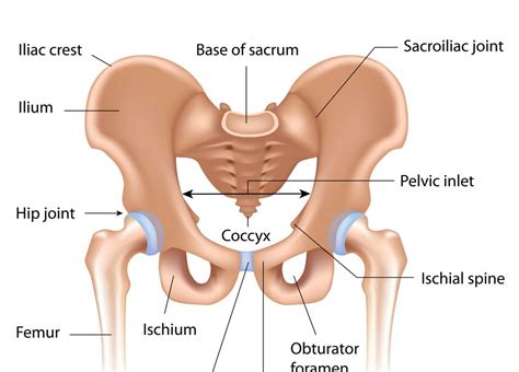 bekkenløsning uke 5