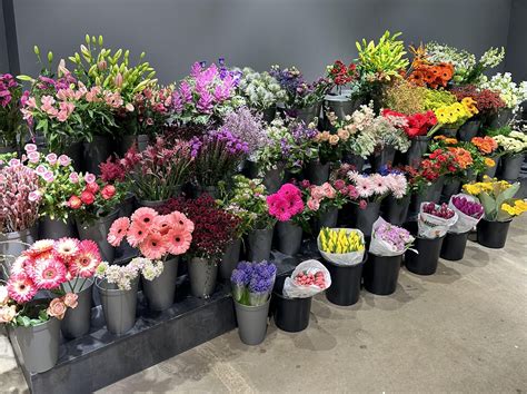 bella flora