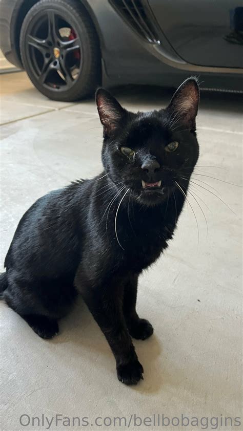 bellbobaggins OnlyFans leaked content