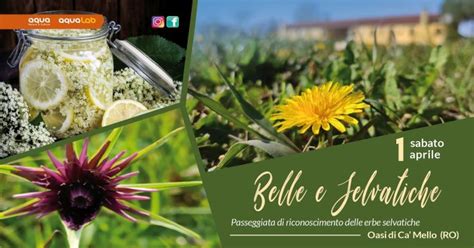 Belle E Selvatiche