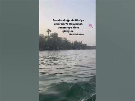 veodersti.rgarabwor.edu.pl. 