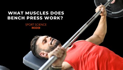 Bench Press The Science