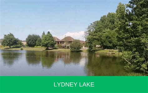bendalls lake lydney park