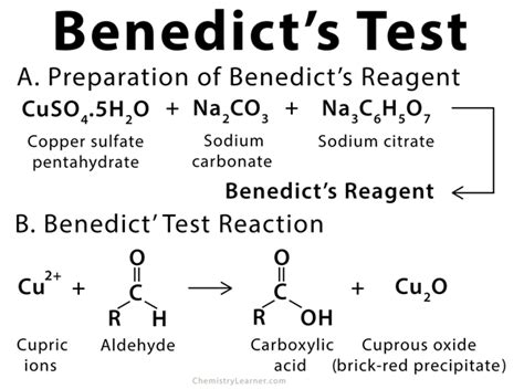 Benedict Reaction Test
