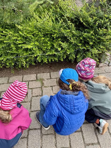 benjamin kolthoff biography