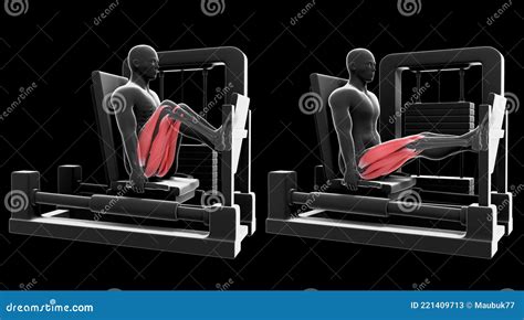 benpress muskler