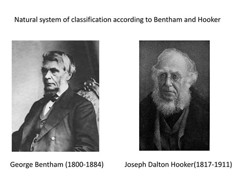 Bentham And Hooker System Of Classification