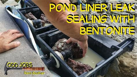 bentonite for pond leaks