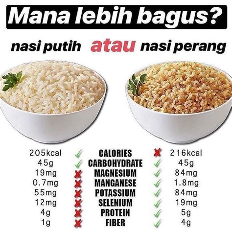 berapa gram nasi untuk diet