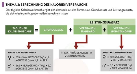 berechnung grundumsatz formel