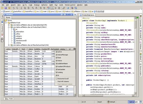 Read Berkeley Database Java Edition Tutorial 