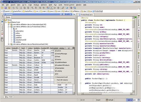 Read Berkeley Db With Java Bindings Vs Edition 