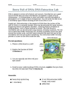 Berry Full Of Dna Analysis Answers