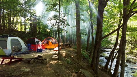 Best Camping Spots In Virginia