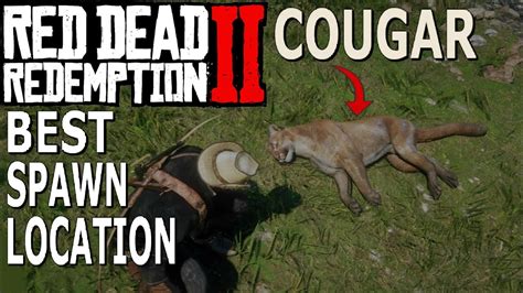 best cougar spawn rdr2