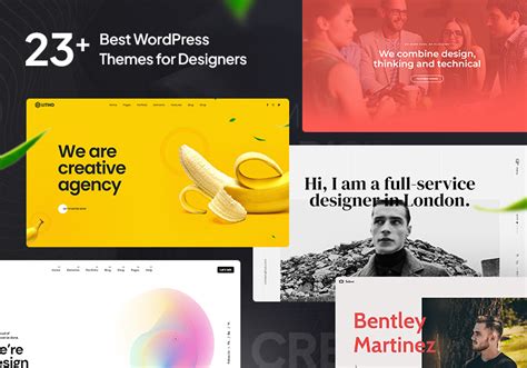 best design wordpress theme