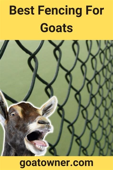 Best Fencing For Goats 2022 Buyers Guide Goat Goat Fencing Panels - Goat Fencing Panels