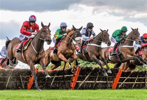 best horse racing betting sites uk