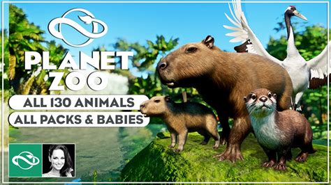 best in slot planet zoo wwcm canada