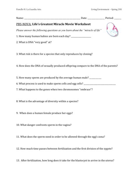 Best Miracle Of Life Video Worksheet Answers The Types Of Chemical Reactions Worksheet Ch7 - Types Of Chemical Reactions Worksheet Ch7