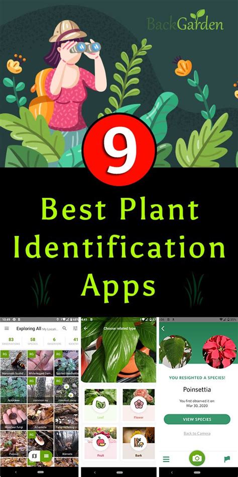 Best Plants Apps For Iphone   11 Best Iphone Apps For Identifying Plants - Best Plants Apps For Iphone