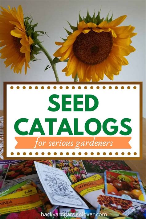 Best Seed Catalogs