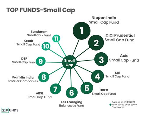 You can either invest in a fixed number of shares or fractional 