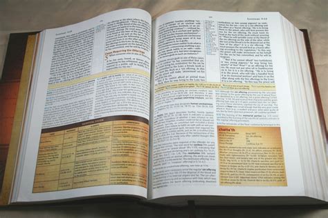 Best Study Bibles