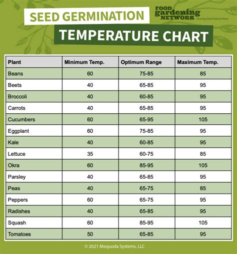 best temperature for seedlings to grow in - Houzz