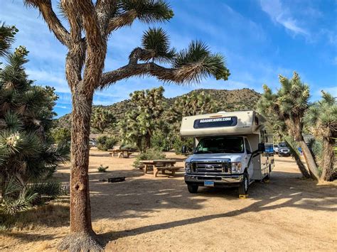 best time to camp joshua tree