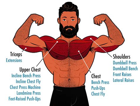 Best Upper Chest Exercise