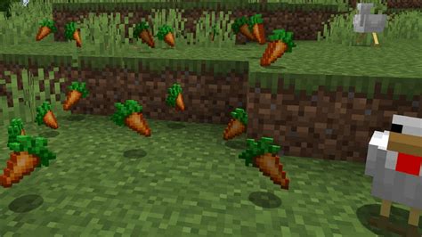 best way to get carrots in minecraft