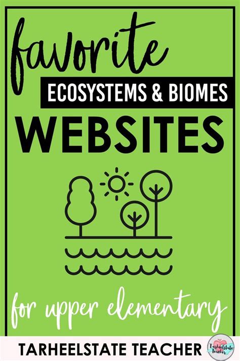 Best Websites For Ecosystems Research And Projects Ecosystems For 4th Grade - Ecosystems For 4th Grade