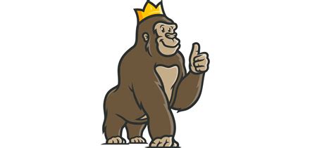 best online casinos casino gorilla