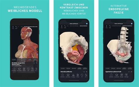 beste 3D Anatomie App