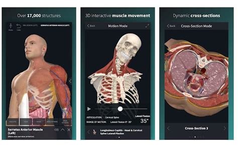 beste Android Anatomie-App