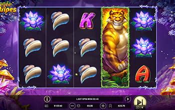 beste betsoft slots aphh