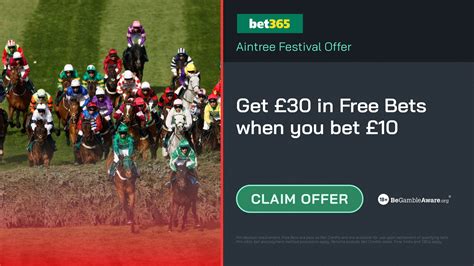 bet 365 grand national offers