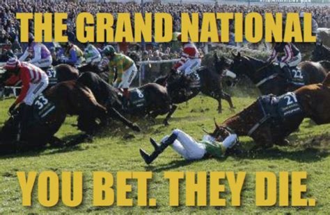 bet on grandnational