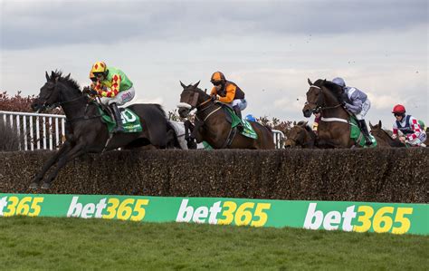 bet365 gold cup