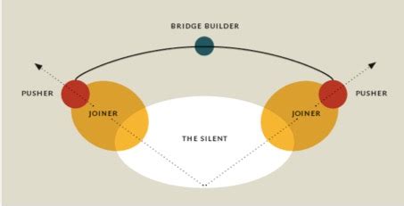 betekenis polariseren