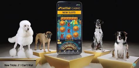 betfair casino dog advert