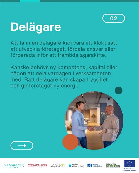 betydande delägare