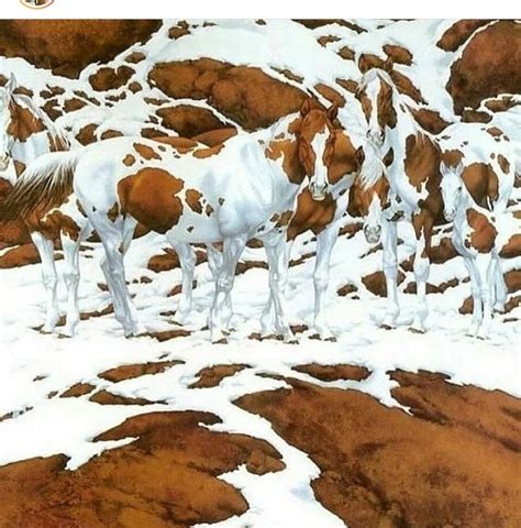Bev Doolittle Prints
