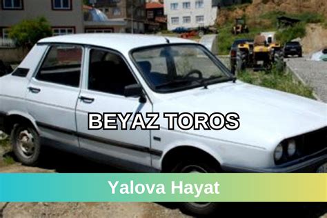 Beyaz Toros Olayı