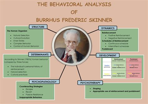 Bf Skinner Behavioral Analysis