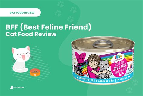 bff cat food review